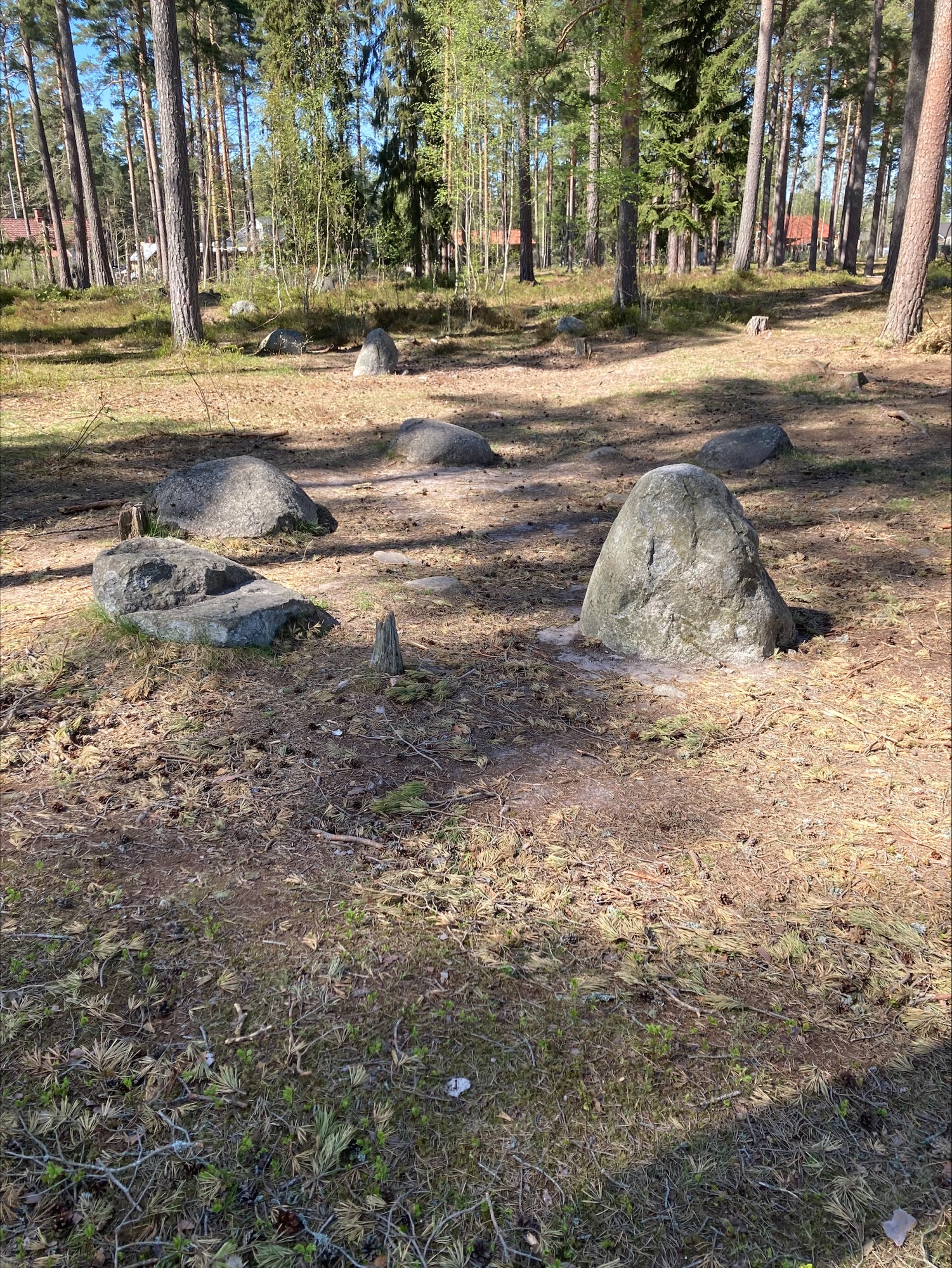 Stenar i en ring på marken.