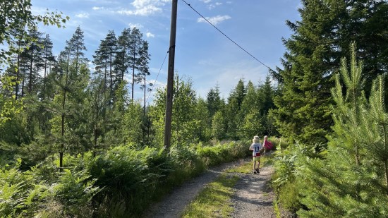 Elljusspår Furusjö.jpg