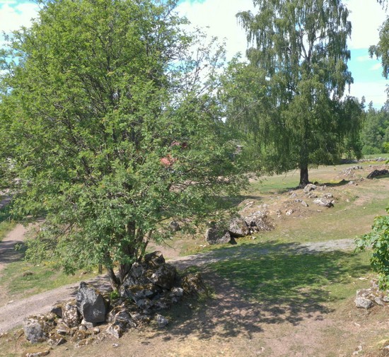 Stenhögar i kanten av fossil åker.