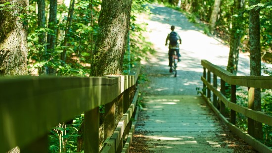 Person som cyklar i en skog.