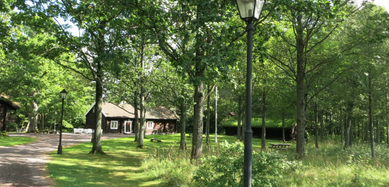 Mörkbruna trähus i en grön parkmiljö.