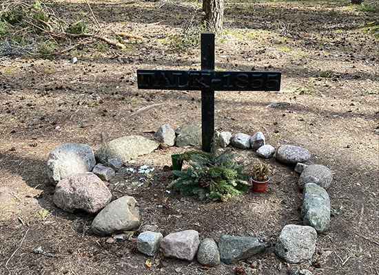 Enkelt kors som det står Falk - 1855 på. Runt korset är en ring av stenar.