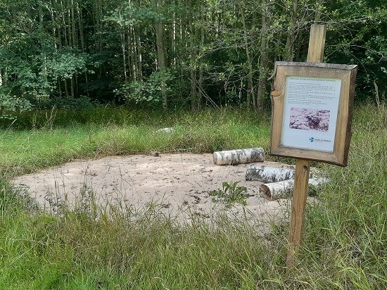 Sandbädd.