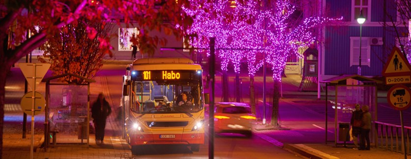 Habo centrum med rosa lampor i träden och en buss som kör på gatan